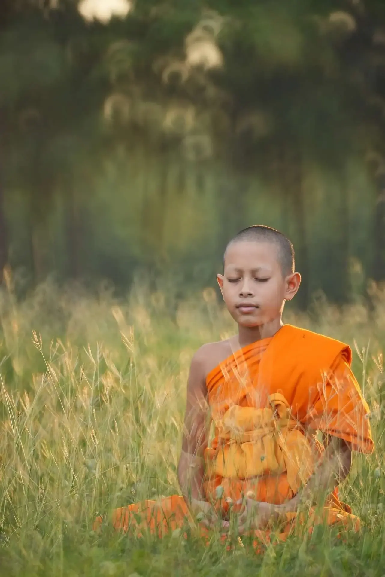 lyon Reiki energéticien Geobiologue lucas daho maitre reiki therapeute Formation reiki usui reiki Karuna