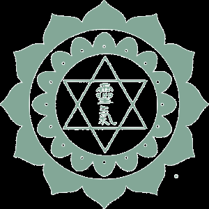 Formation-Reiki-Karuna Praticien-Lyon-Hikaso