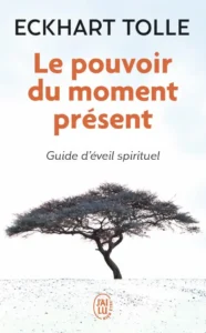les 5 ideaux du reiki-les 5 principes du reiki-les 5 préceptes du reiki-lyon Reiki energéticien Geobiologue lucas daho maitre reiki therapeute Formation reiki usui reiki Karuna