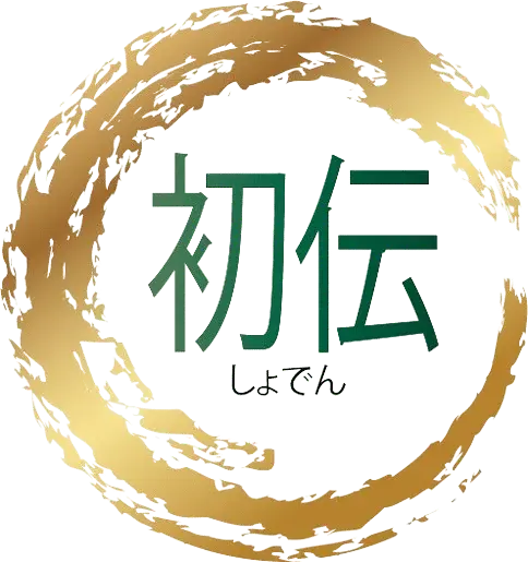 lyon Reiki energéticien Geobiologue lucas daho maitre reiki therapeute Formation reiki 1 praticien reiki karuna