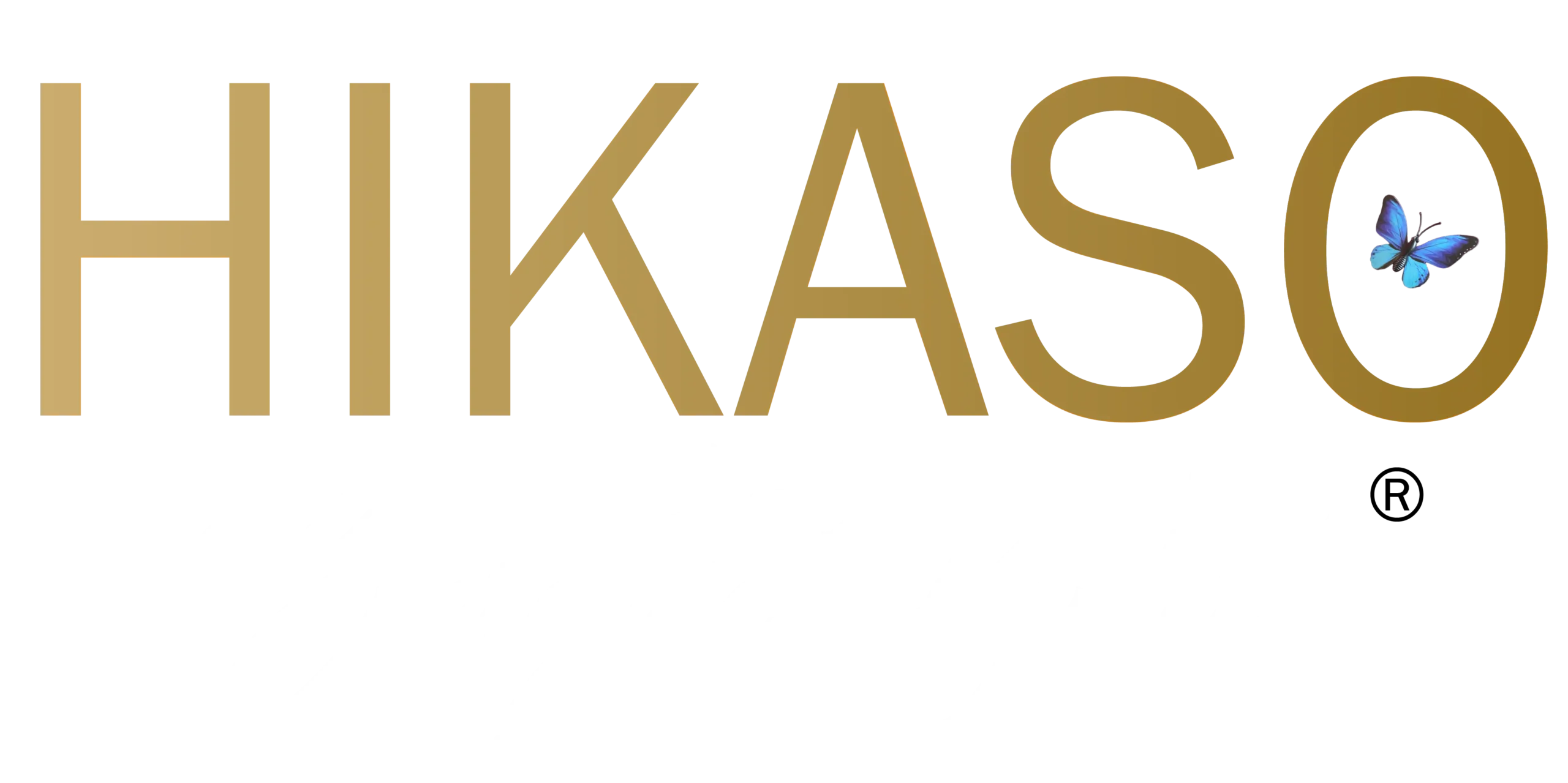 Logo Hikaso Energetic Center — Maître Reiki Lyon